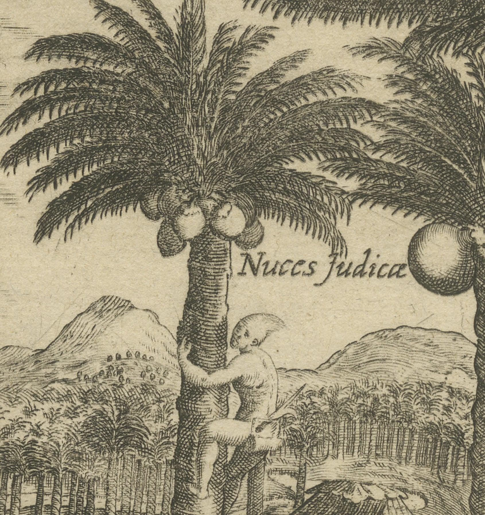 Tropical Delights: De Bry's Illustration of Indian Fig and Nut Trees, 1601 In Good Condition For Sale In Langweer, NL