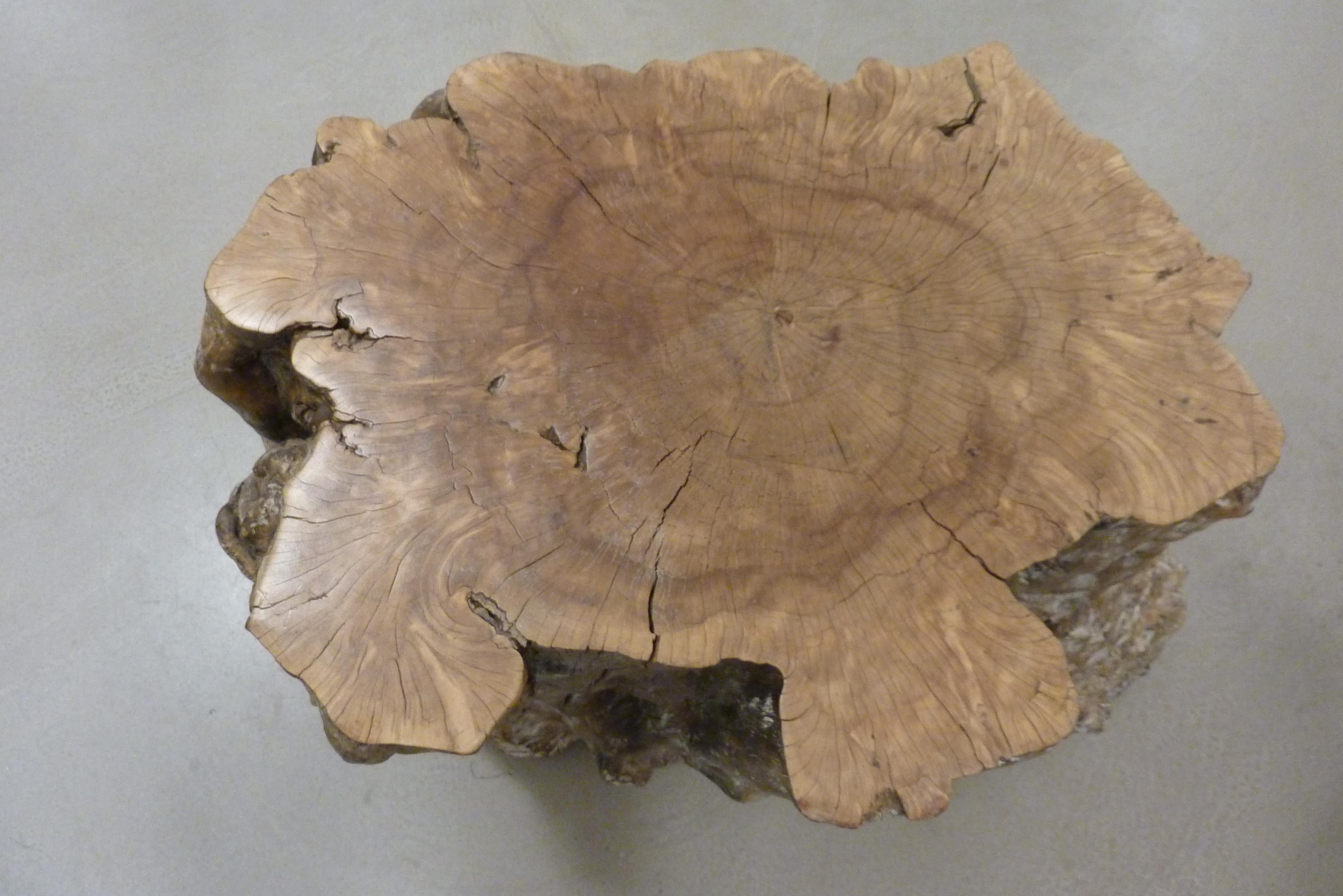 Asian Tropical Forest Tree Trunk Table on Industrial Wheels For Sale