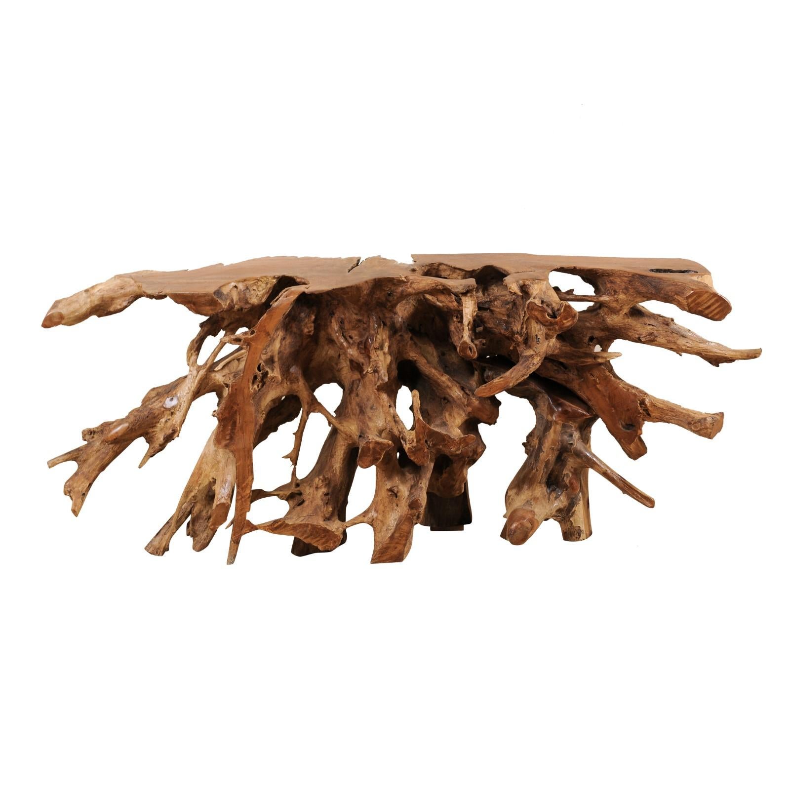 A 6+ Ft Long Natural Teak Root Console Table- An Art Piece by Mother Nature!