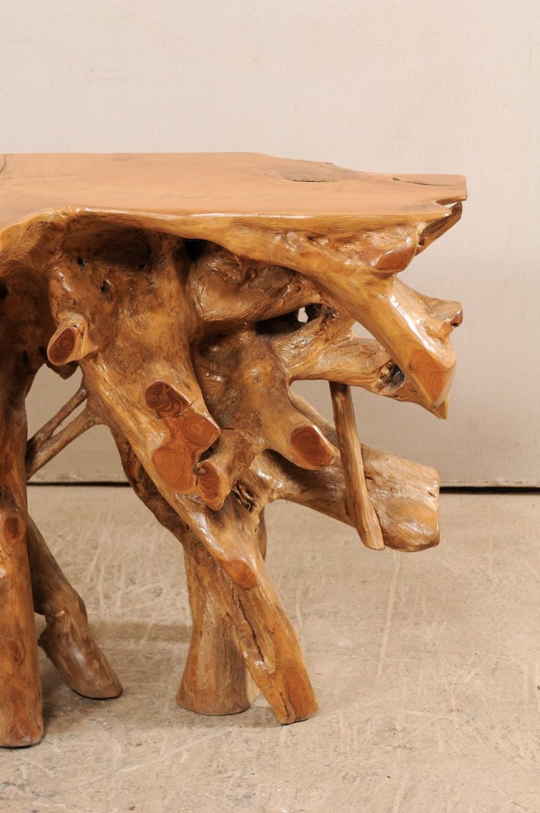 Tropical Hardwood Teak Root Console Table with Intertwining Wood Roots at 1stDibs