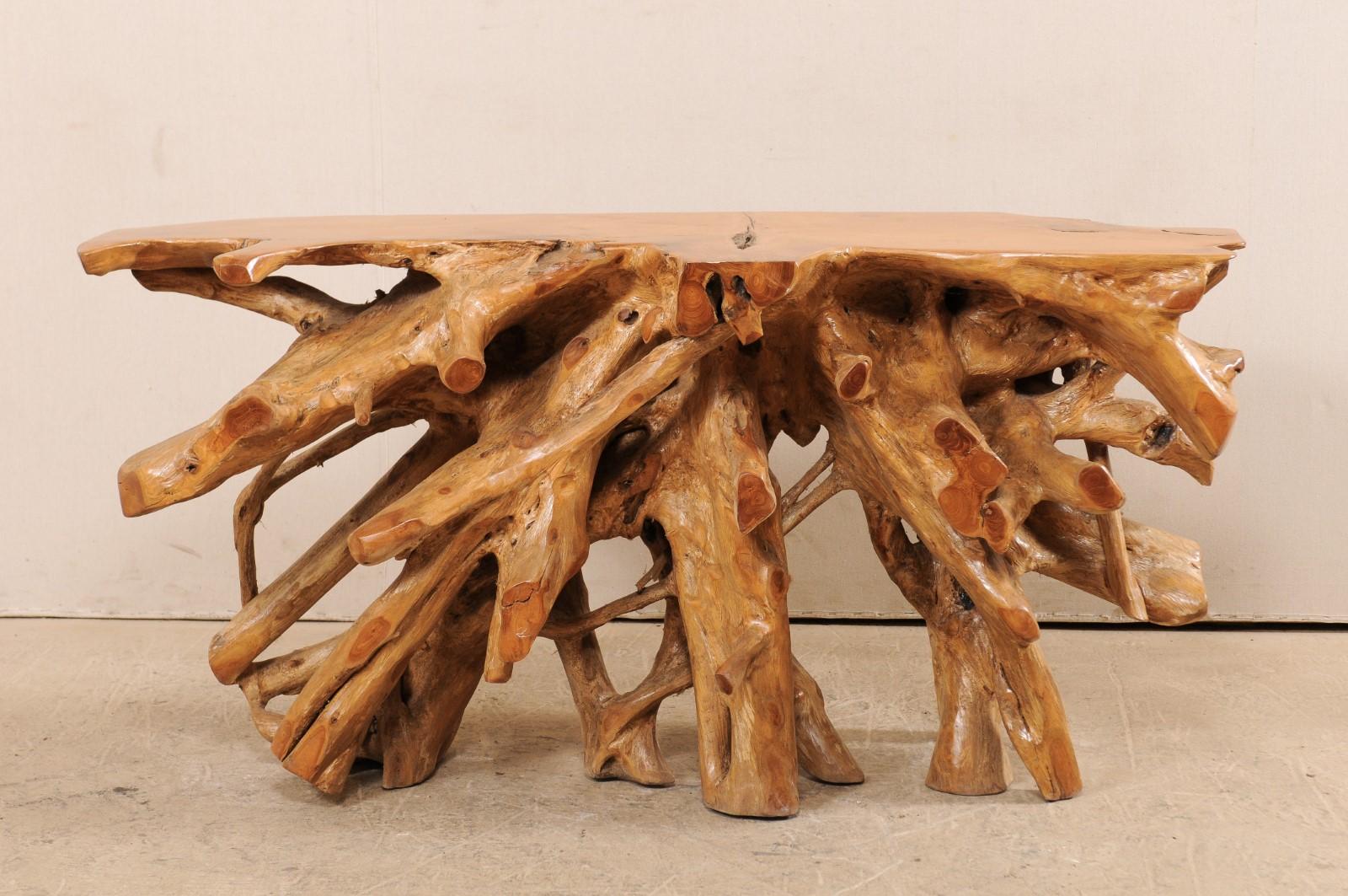 A natural teak tree root console table. This wooden console table has been custom fashioned from a large cut section of old teak whose intertwining roots give it an organic and airy feel. There is a nice contrast of colors and wonderful showing of