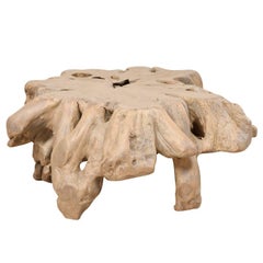 Tropical Hardwood Tree Root Rustic Coffee Table