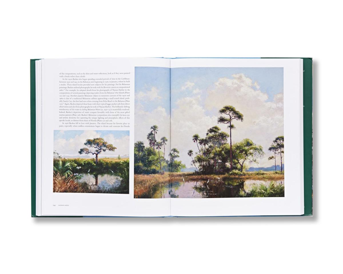 Tropical Light The Art of A. E. Backus Book by Natasha Kuzmanovic For Sale 2