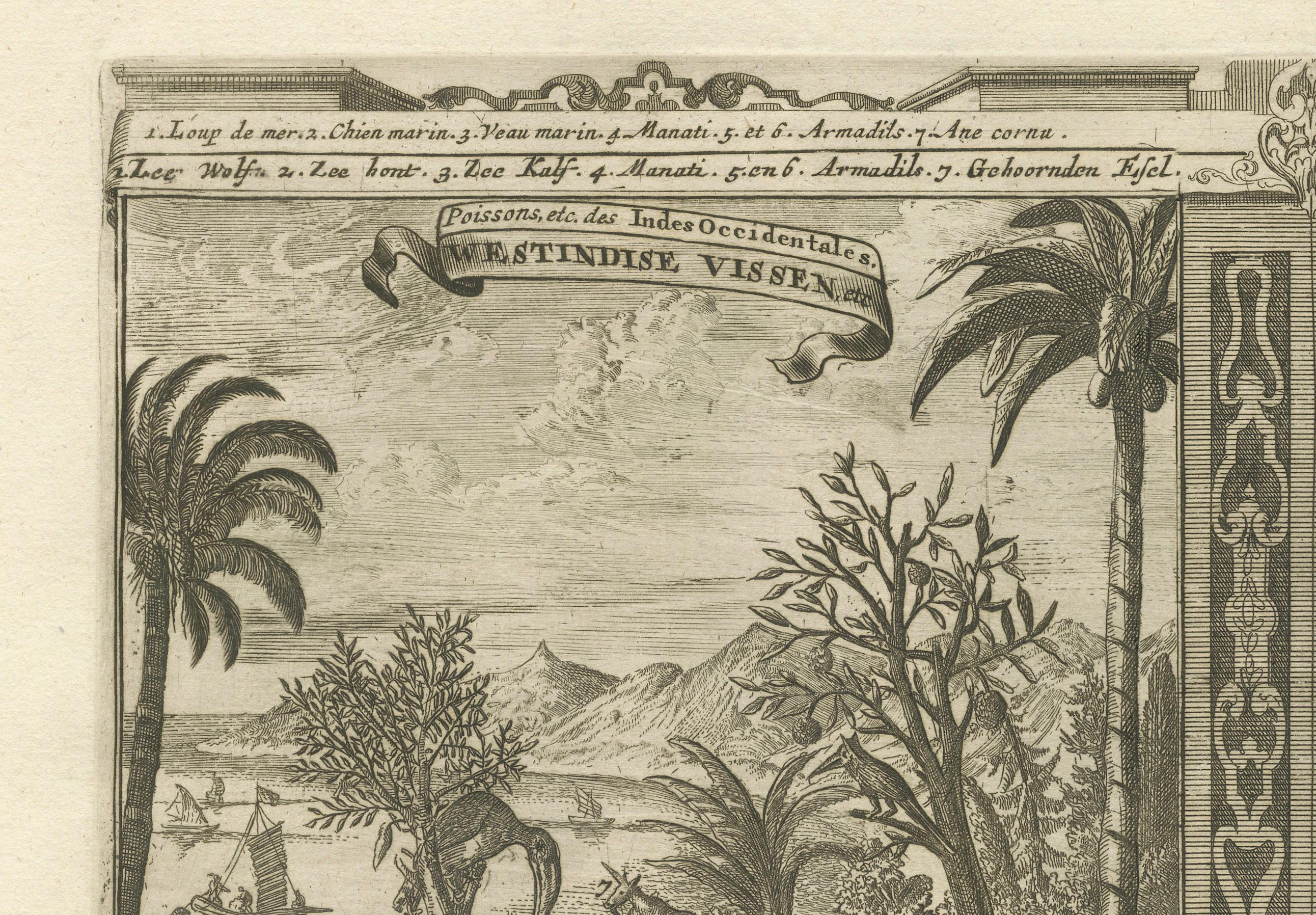 Tropisches Paradies: The Diverse Fauna of the Indies von R. De Hooghe, um 1708 (Graviert) im Angebot