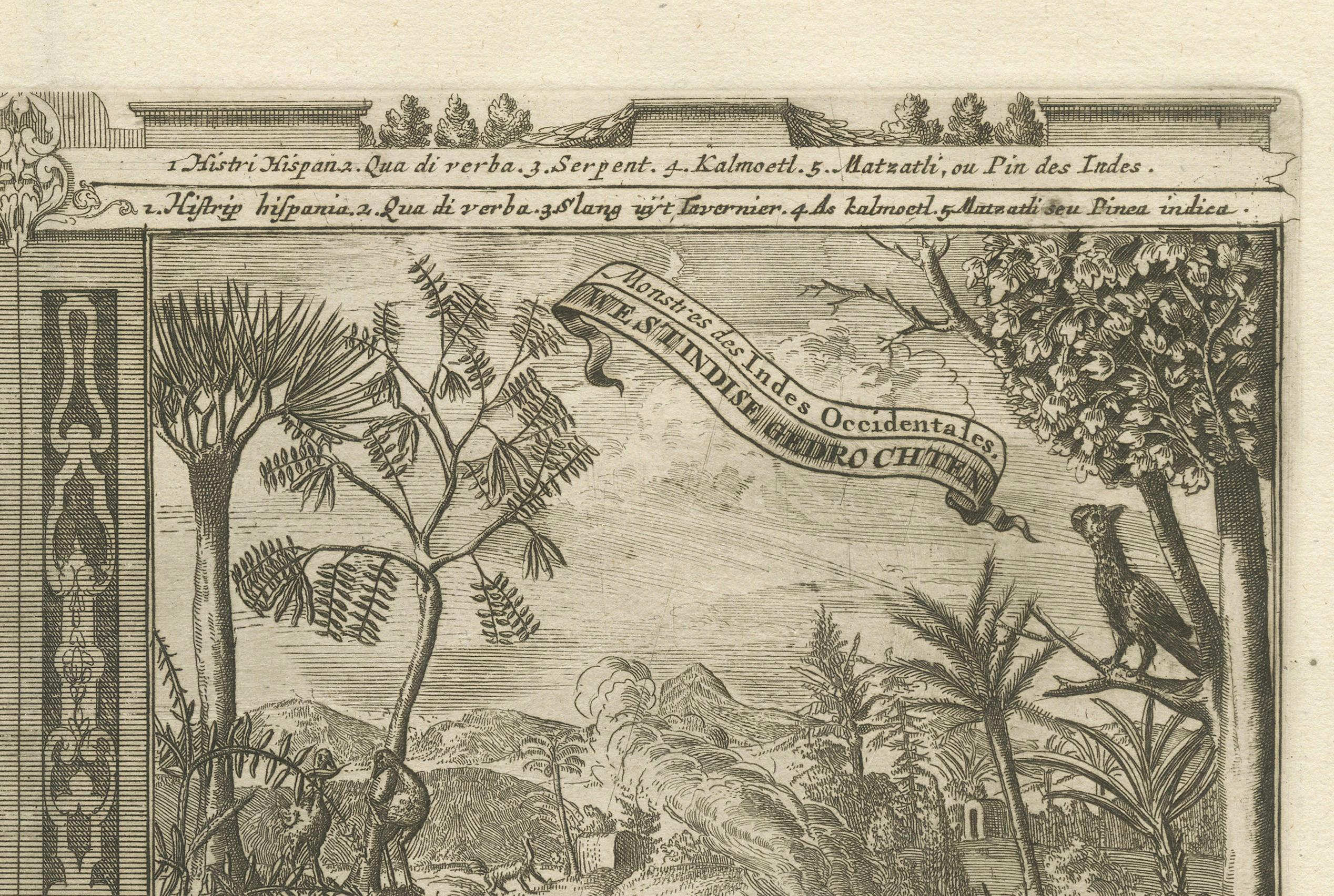 Tropisches Paradies: The Diverse Fauna of the Indies von R. De Hooghe, um 1708 im Zustand „Hervorragend“ im Angebot in Langweer, NL