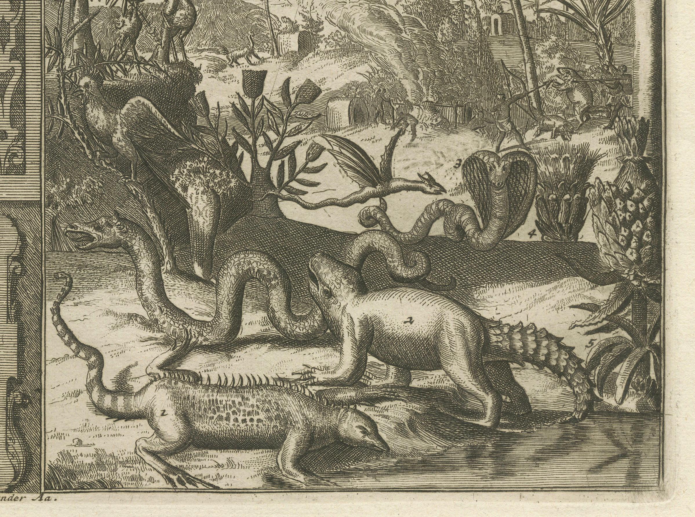 Tropisches Paradies: The Diverse Fauna of the Indies von R. De Hooghe, um 1708 (Frühes 18. Jahrhundert) im Angebot