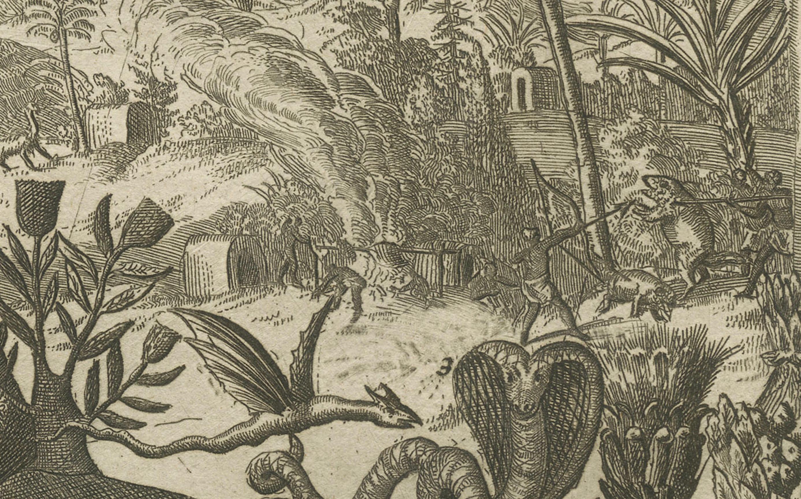 Tropisches Paradies: The Diverse Fauna of the Indies von R. De Hooghe, um 1708 im Angebot 1