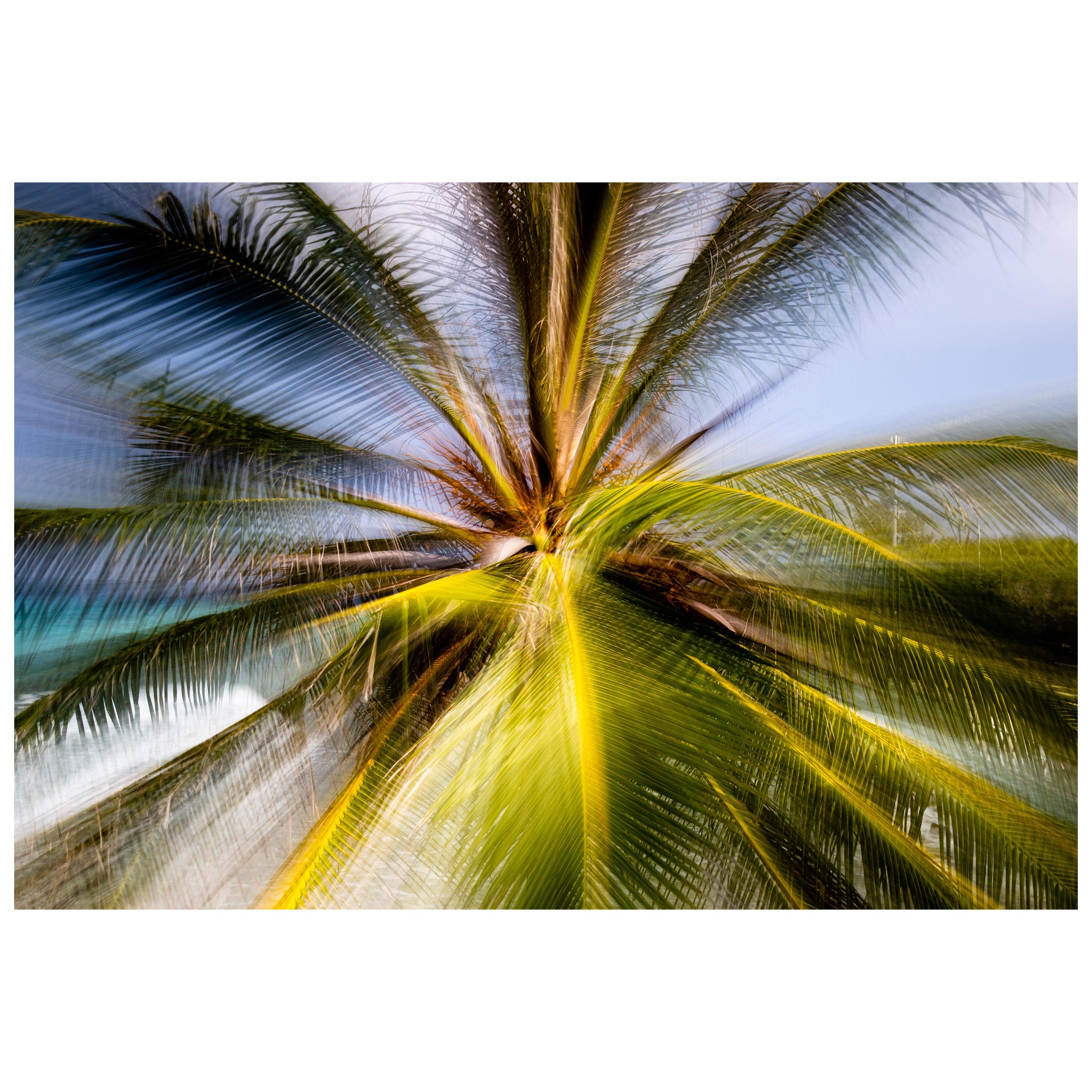 “Tropical” Photography, 2019 by Brazilian Photographer Chico Kfouri