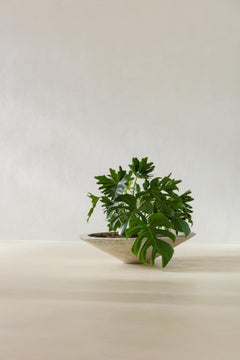 Fioriera tropicale di Willy Guhl, prodotta da Eternit Brasile, anni '60