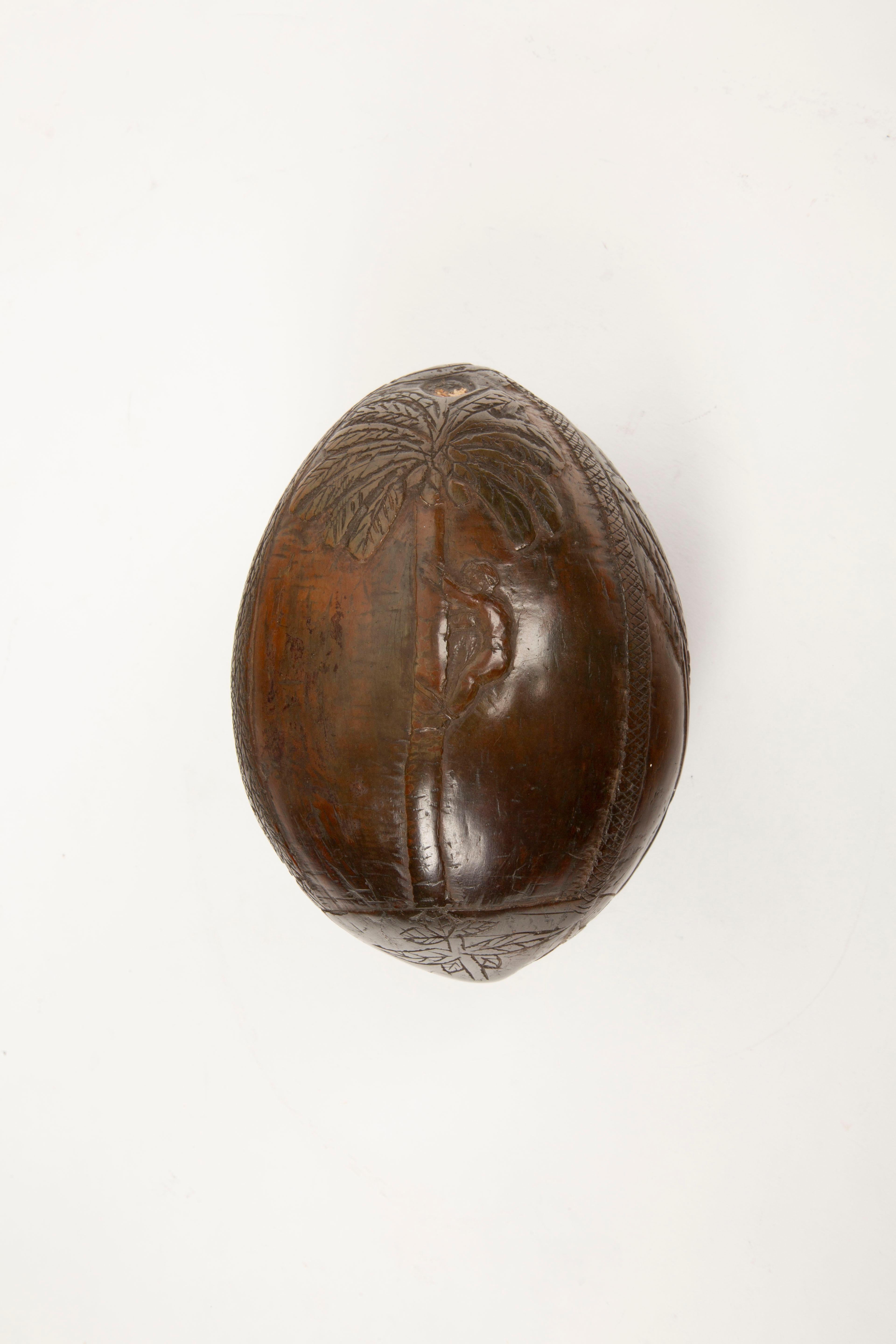 Napoleon III Tropical Tales: Rare 19th-Century French Colonial Carved Coconut Flask For Sale