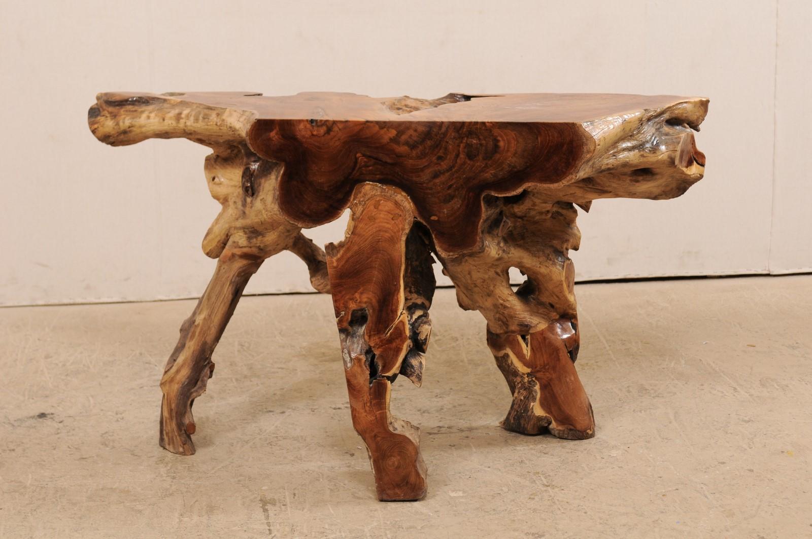 Tropical Teak Root Console Table 5
