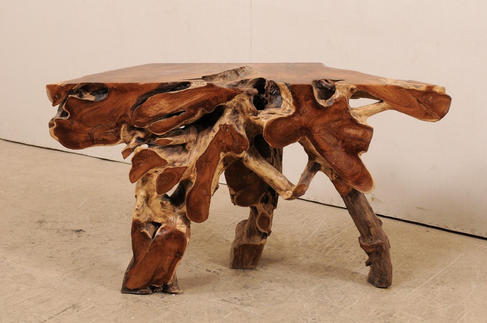 A unique teak tree root console table. This wooden console table has been custom fashioned from a large cut section of old teak whose intertwining roots give it an organic and airy feel. There is a nice contrast of colors and wonderful showing of