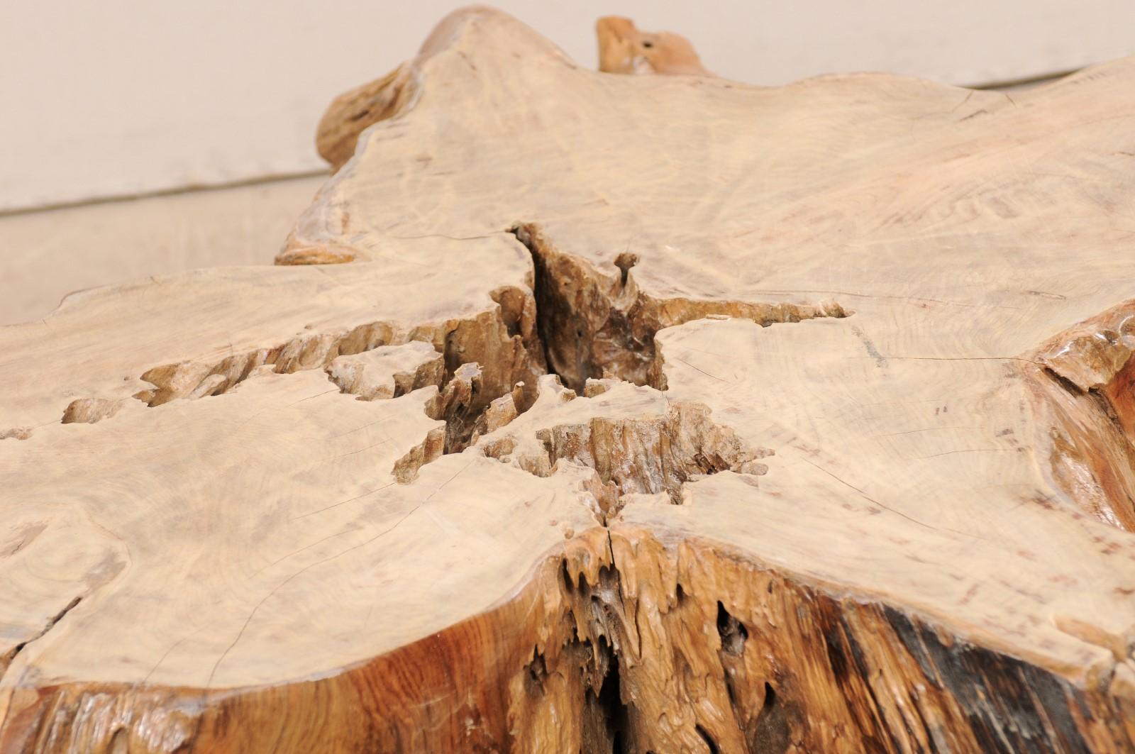 Wood An Organically-Shaped Tropical Teak Stump & Root Hardwood Coffee Table For Sale