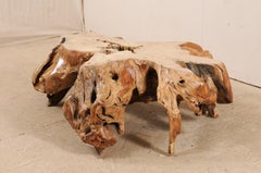 An Organically-Shaped Tropical Teak Stump & Root Hardwood Coffee Table