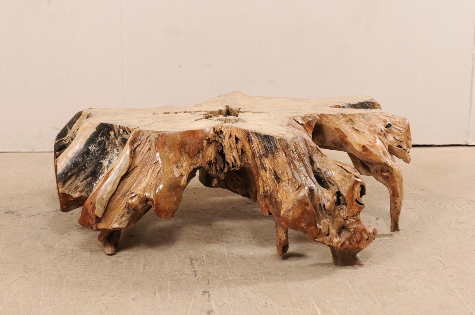 tree root coffee table