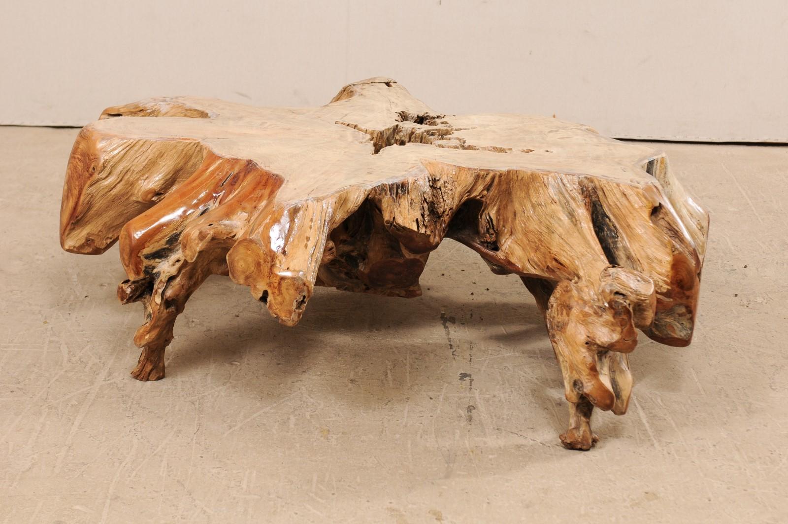 Rustique Table basse tropicale de forme organique en bois dur de teck tacheté et racine en vente
