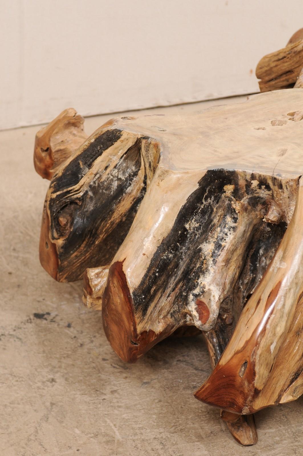 XXIe siècle et contemporain Table basse tropicale de forme organique en bois dur de teck tacheté et racine en vente