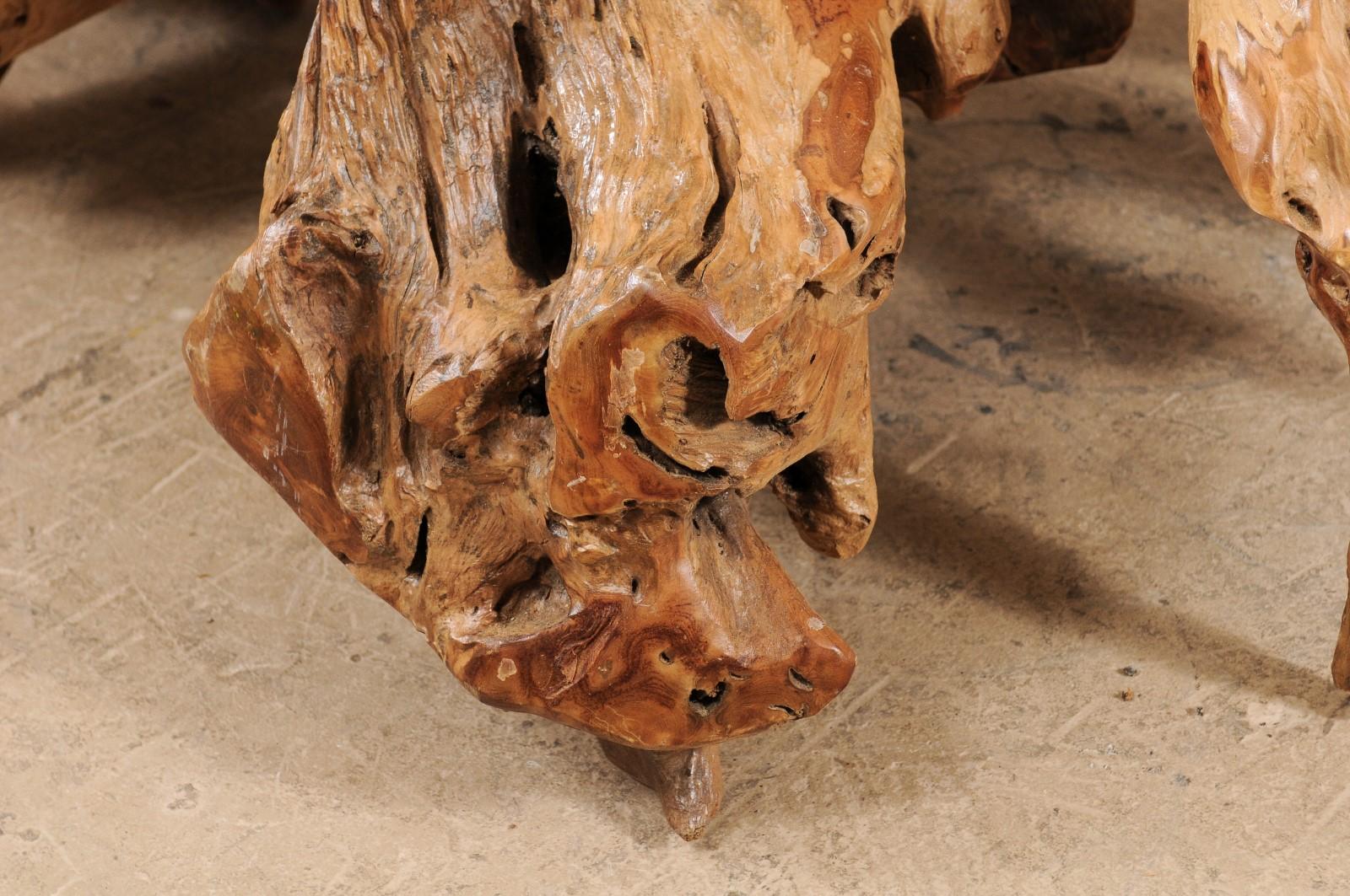 Contemporary An Organically-Shaped Tropical Teak Stump & Root Hardwood Coffee Table For Sale