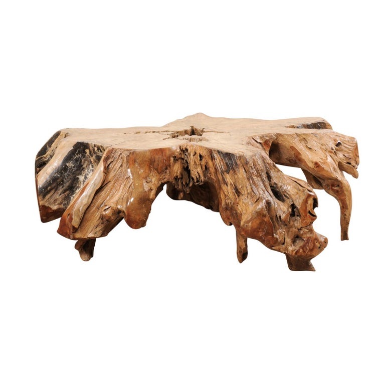 An Organically-Shaped Tropical Teak Stump & Root Hardwood Coffee Table For Sale