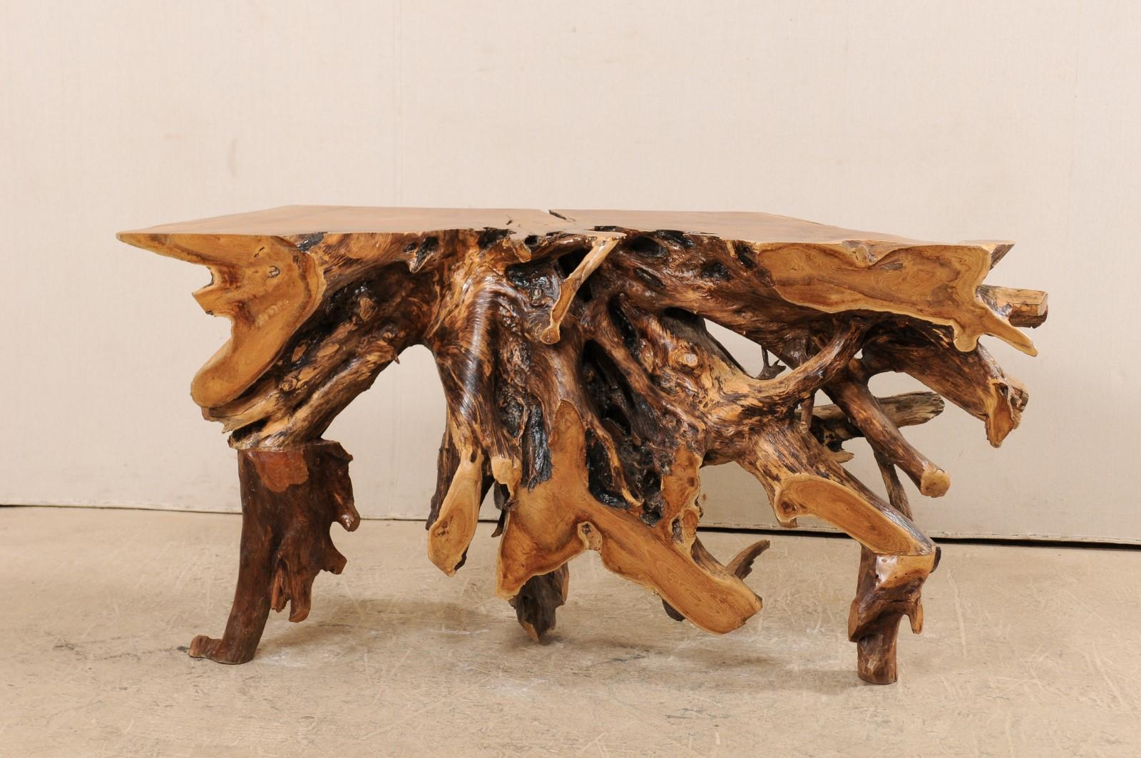 A unique teak tree root console table. This wooden console table has been custom fashioned from a large cut section of old teak whose intertwining roots give it an organic and airy feel. There is a nice contrast of colors and wonderful showing of