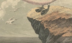 Tropicbirds and Gulls: An 1849 Coastal Encounter - A Hand-Coloured Lithograph