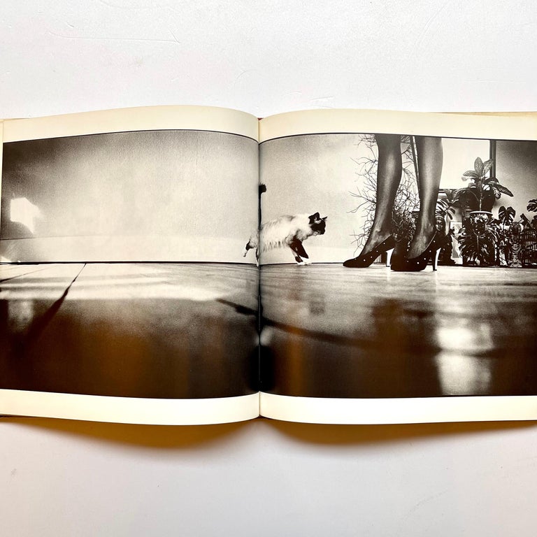 Trouble and Strife, David Bailey, J.H. Lartigue, 1st Edition, T&H