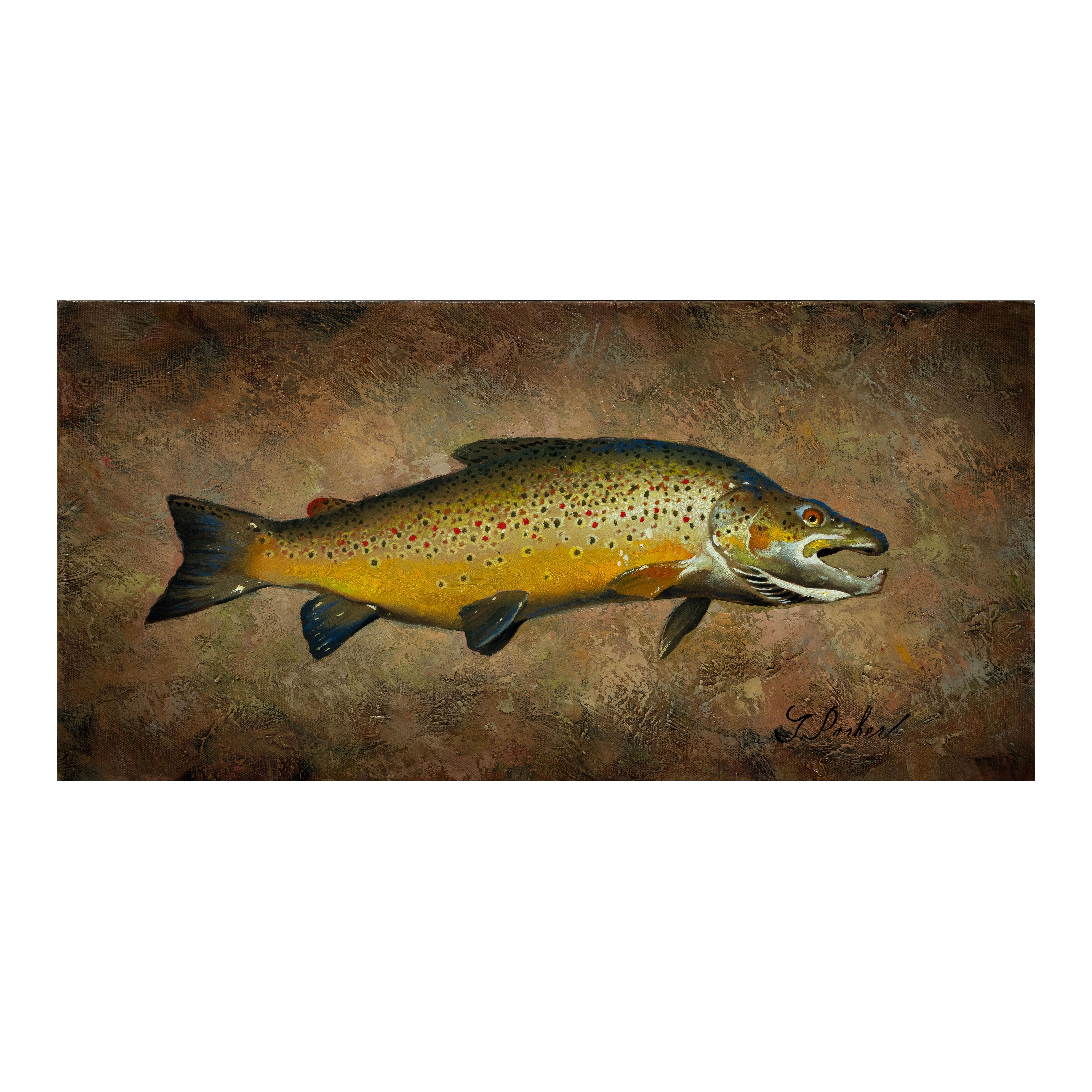 Trout Collection Original Oil Paintings by Greg Parker For Sale 6