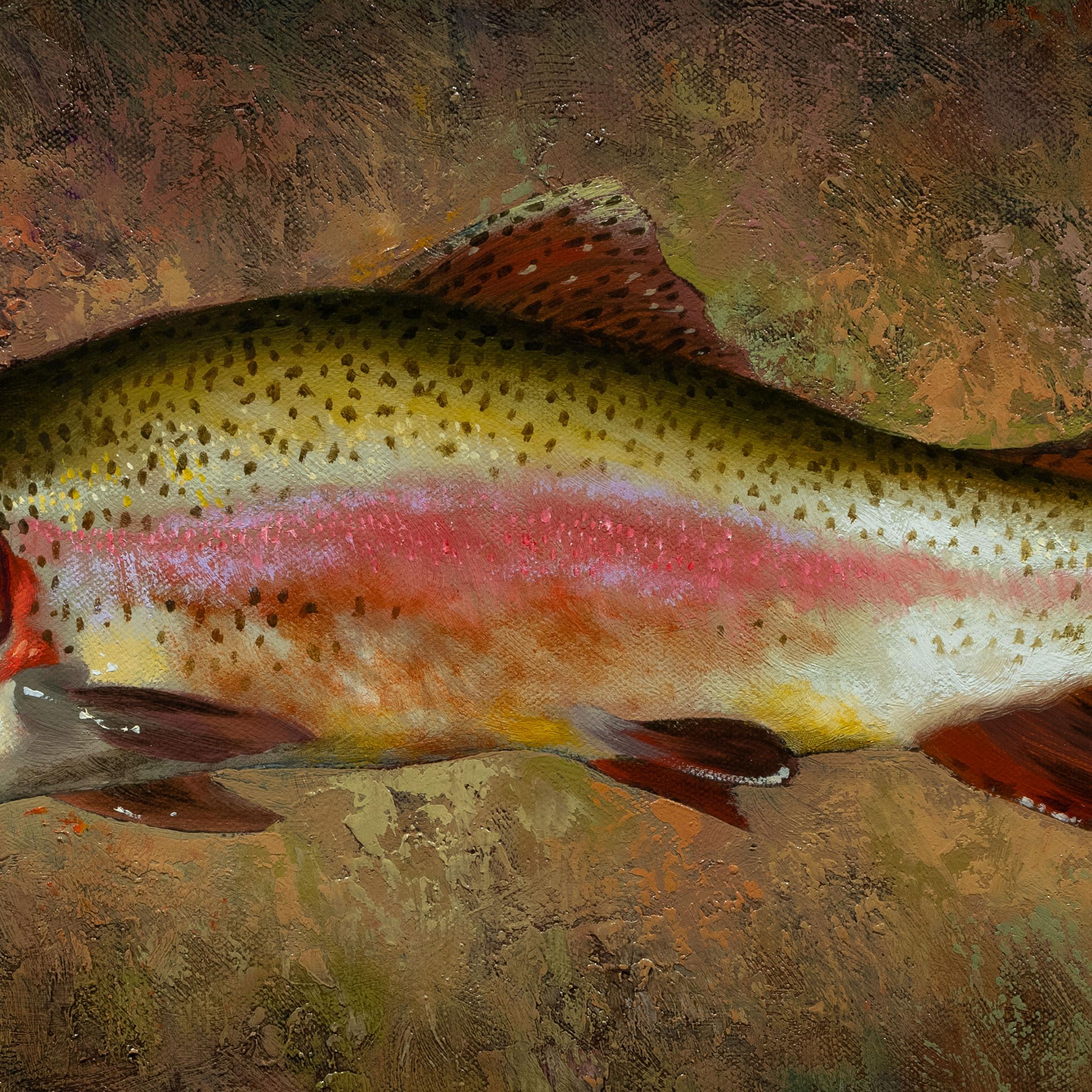 Trout Collection Original Oil Paintings by Greg Parker For Sale 8