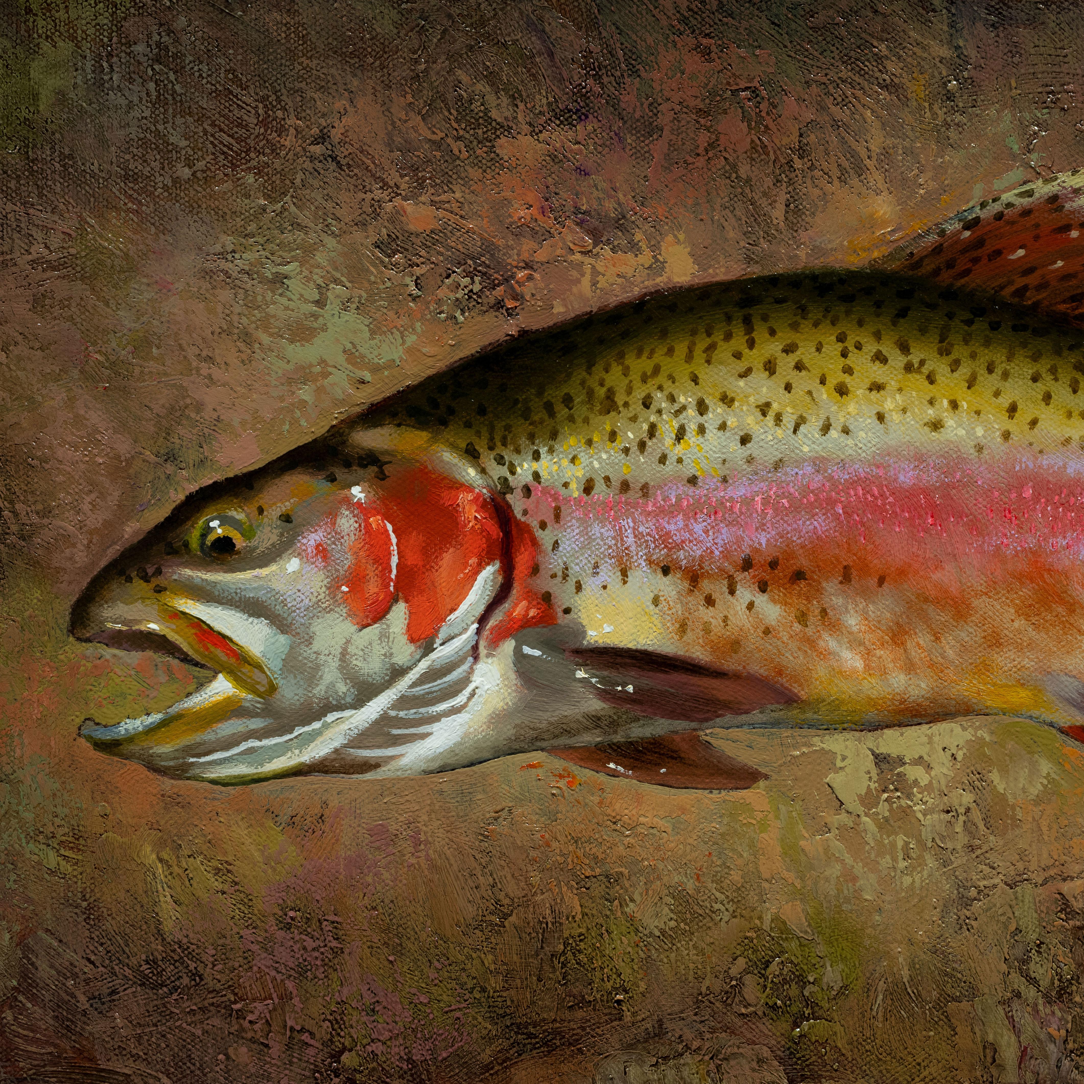 Trout Collection Original Oil Paintings by Greg Parker For Sale 9