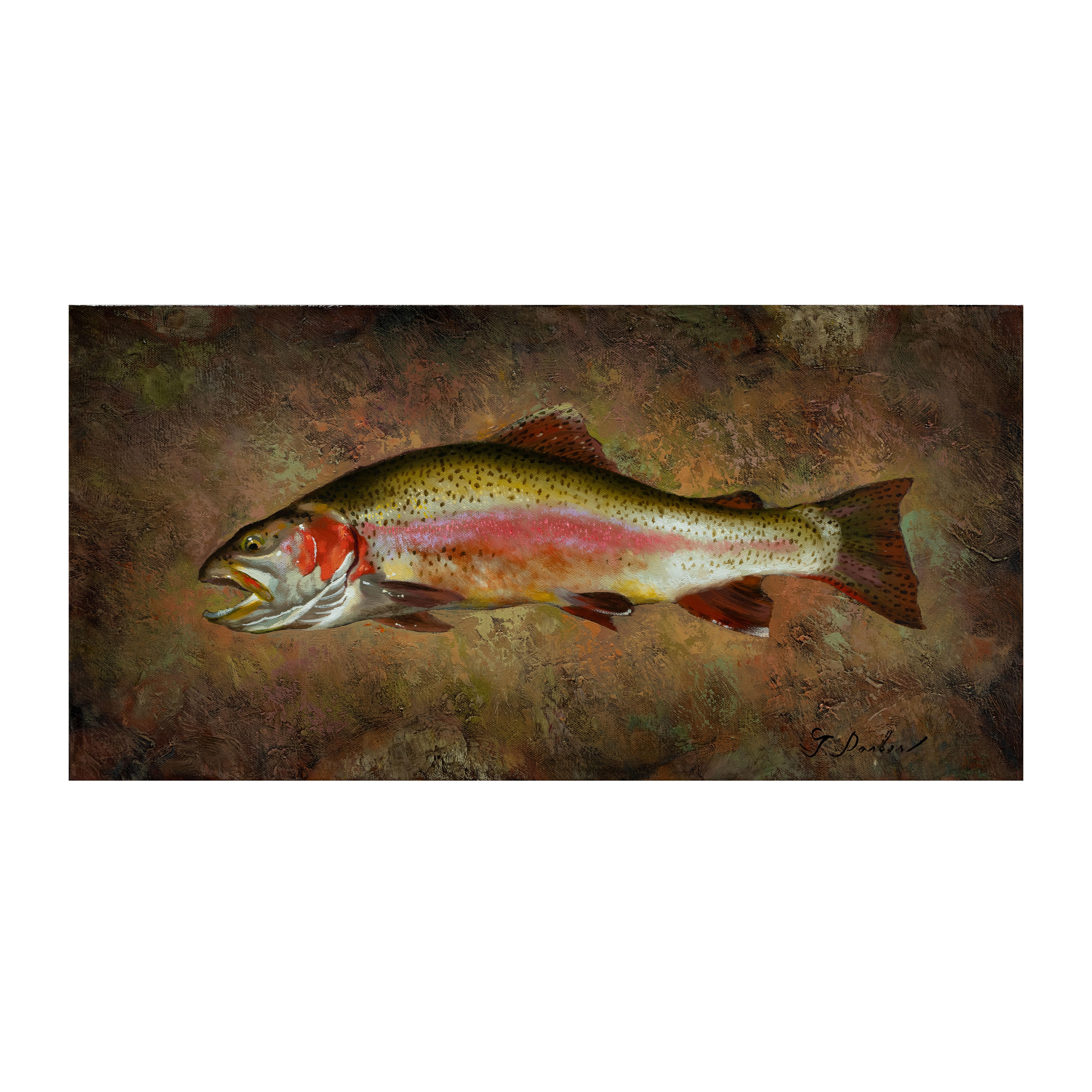 Trout Collection Original Oil Paintings by Greg Parker For Sale 10