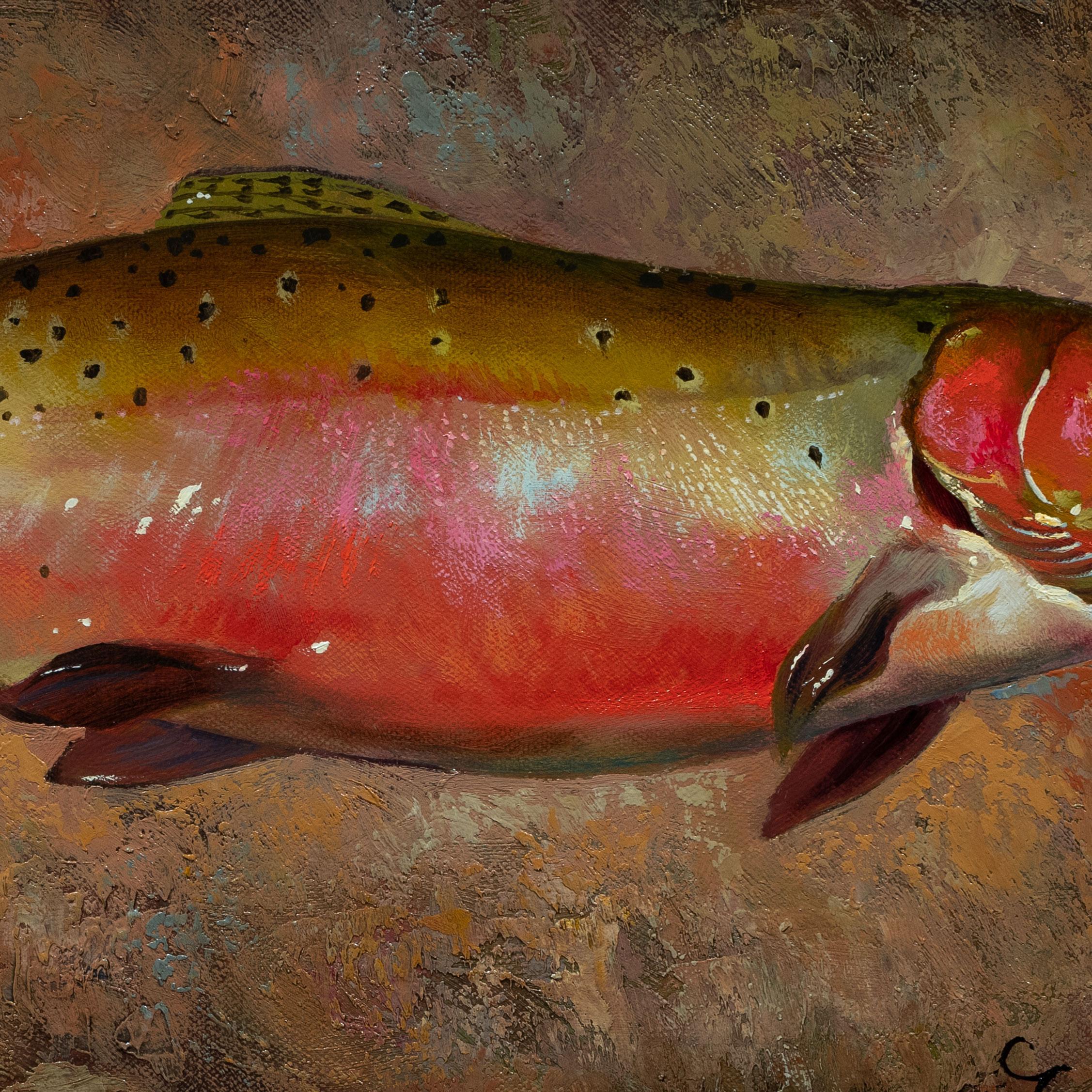 Contemporary Trout Collection Original Oil Paintings by Greg Parker For Sale