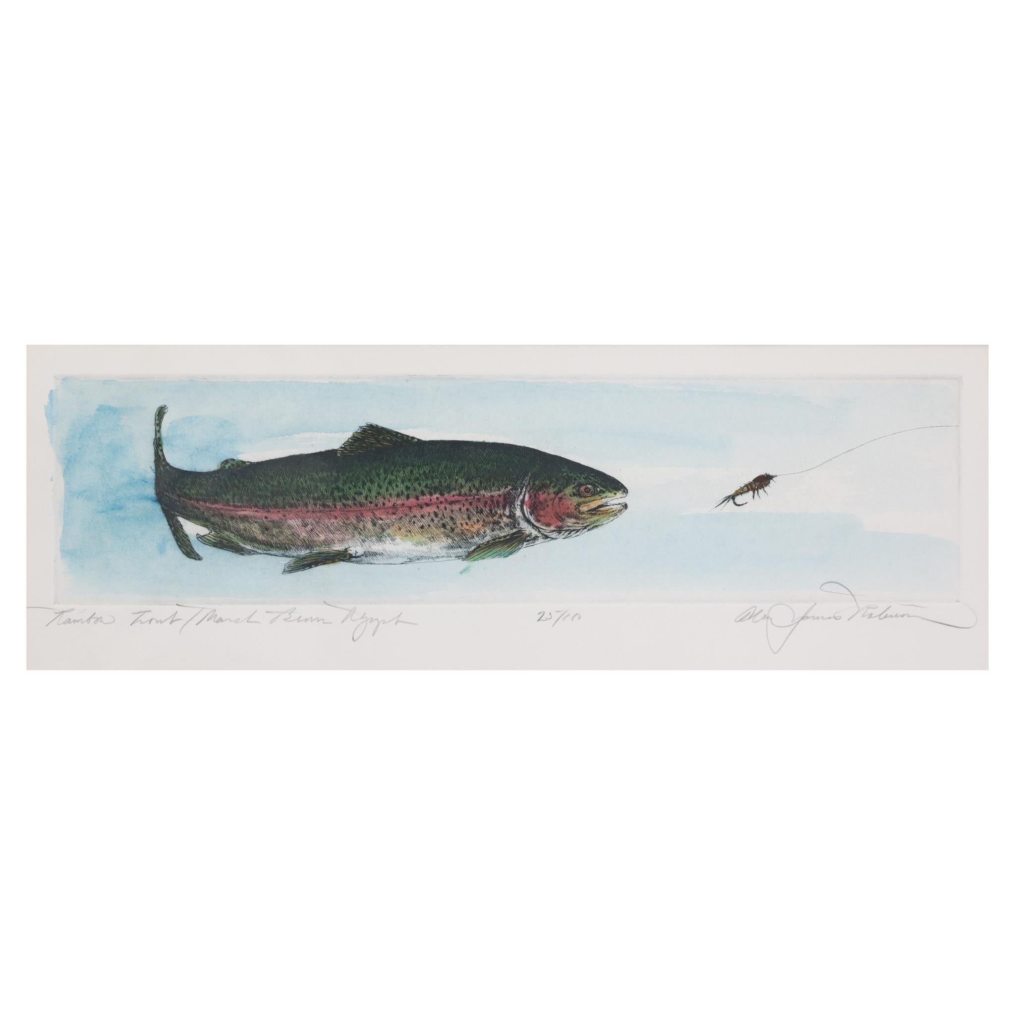 Three signed engravings of trout species framed together with tied fishing flies by Alan James Robinson. All images printed in black with hand water coloring, titled in pencil and signed. The framed flies also represented in the images. Set of