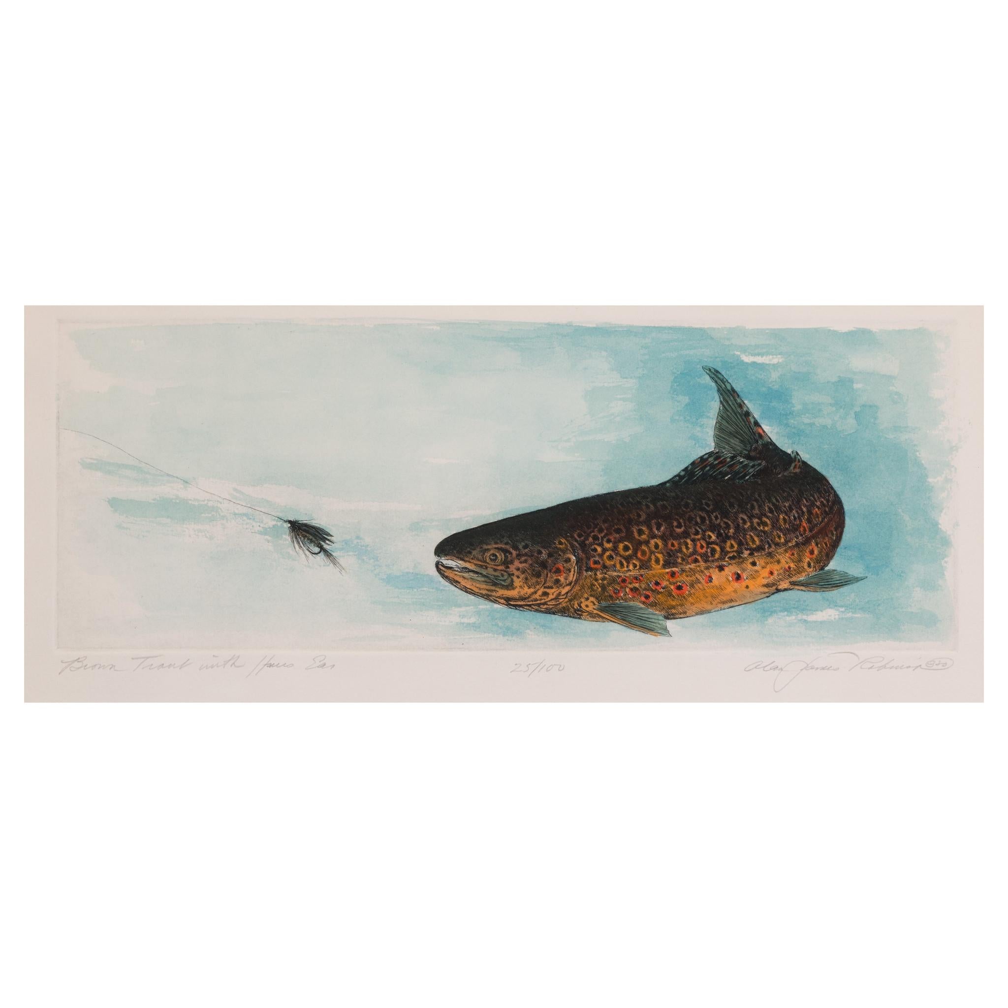 Paint Trout Engraving Watercolors with Flies by Alan James Robinson