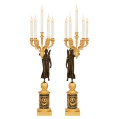 true pair of French 19th century Bronze, Ormolu and Marble candelabra lamps