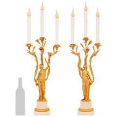 true pair of French 19th century Louis XVI st. Ormolu and marble lamps