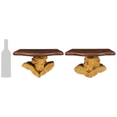 Paar echte französische Wandhalterungen aus Goldbronze und Mahagoni aus der Jahrhundertwende