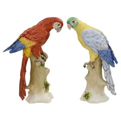 true pair of German 19th century Sitzendorf Porcelain Parrots