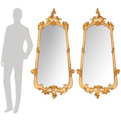true pair of Italian 19th century Louis XV st. patinated and Giltwood mirrors