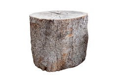 Trunk Table Base with Bark Exterior