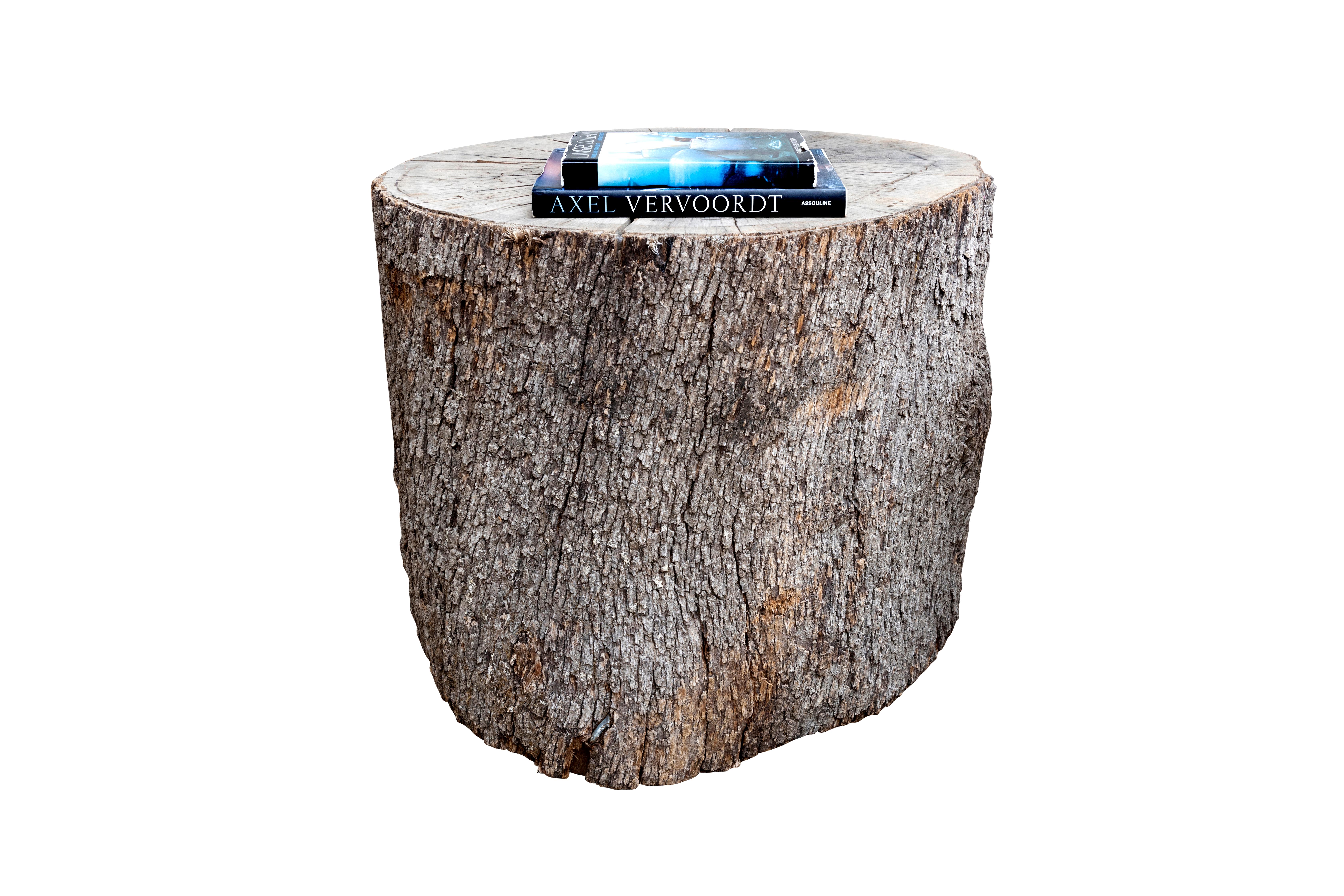Rustic Trunk Table Base with Bark Exterior For Sale