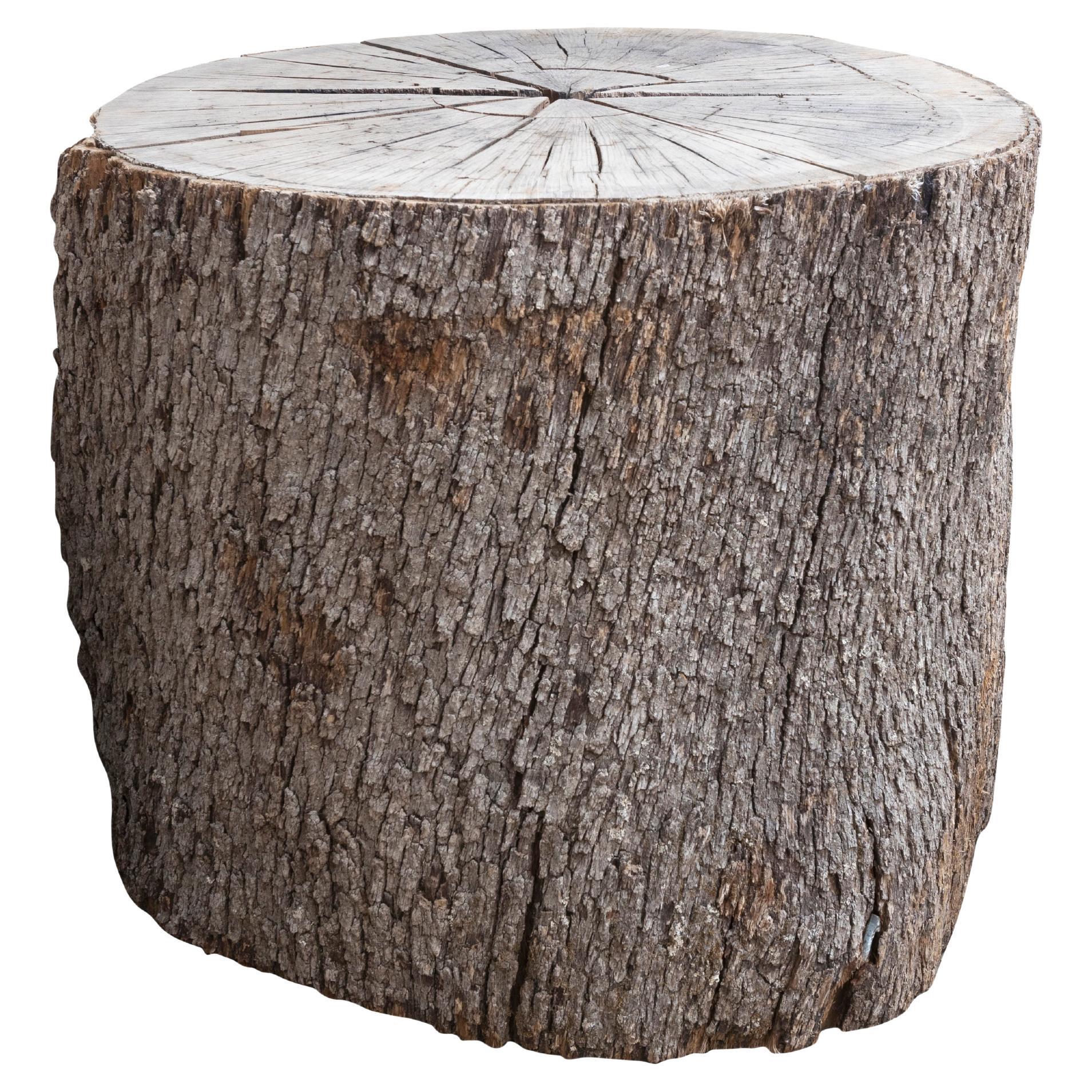 Trunk Table Base with Bark Exterior For Sale