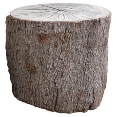 Trunk Table Base 