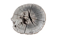 Trunk Table Base with Bark Exterior