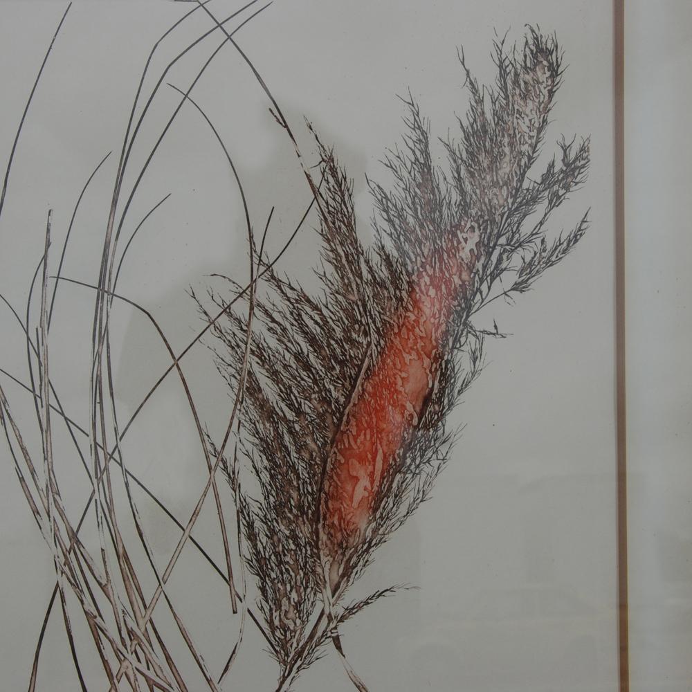 Lithographie par Truyard, représentant une plume parmi des bâtons. Signé et numéroté. (144/150) Encadré.
