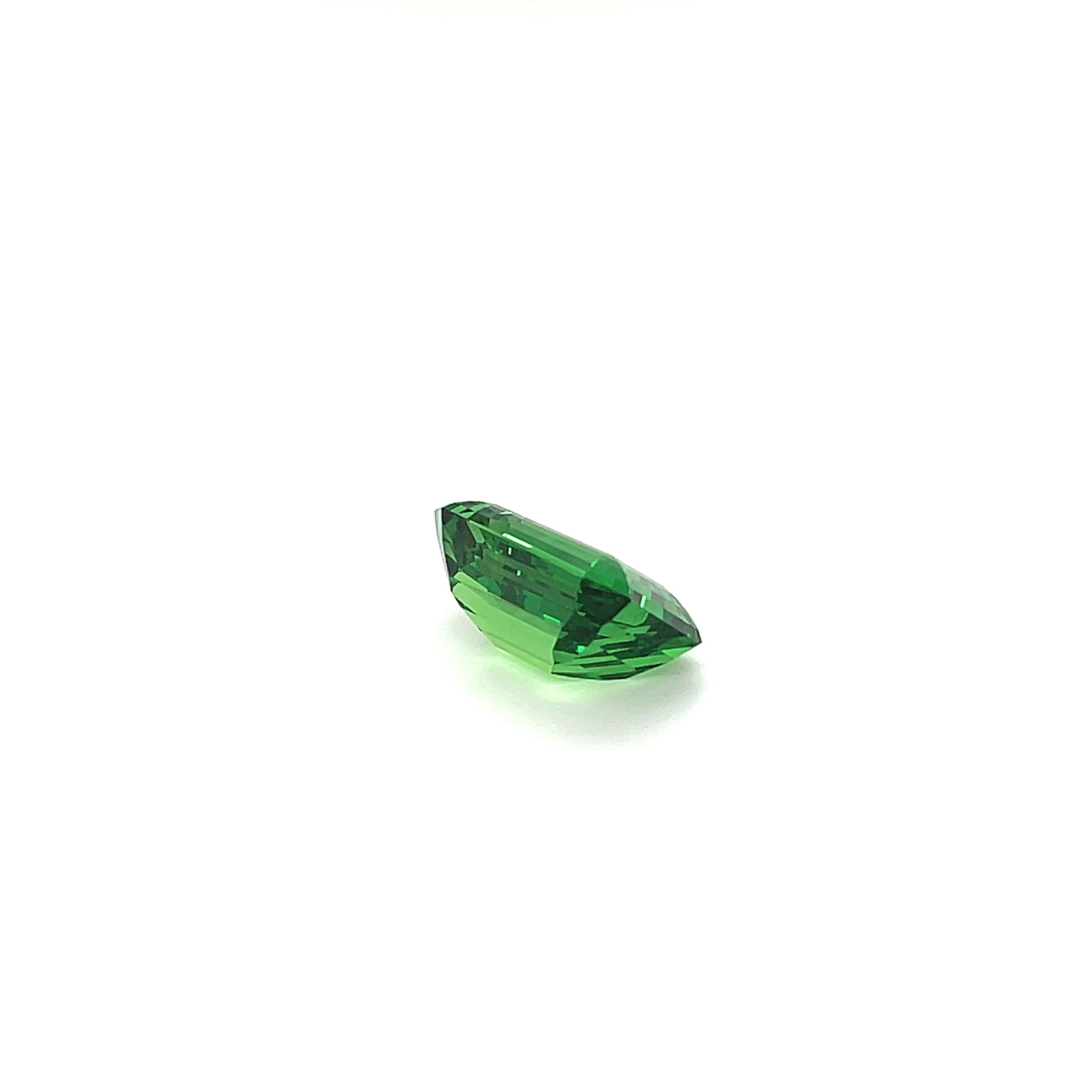 Contemporary Tsavorite 8.32 Carat Loose Gemstone For Sale