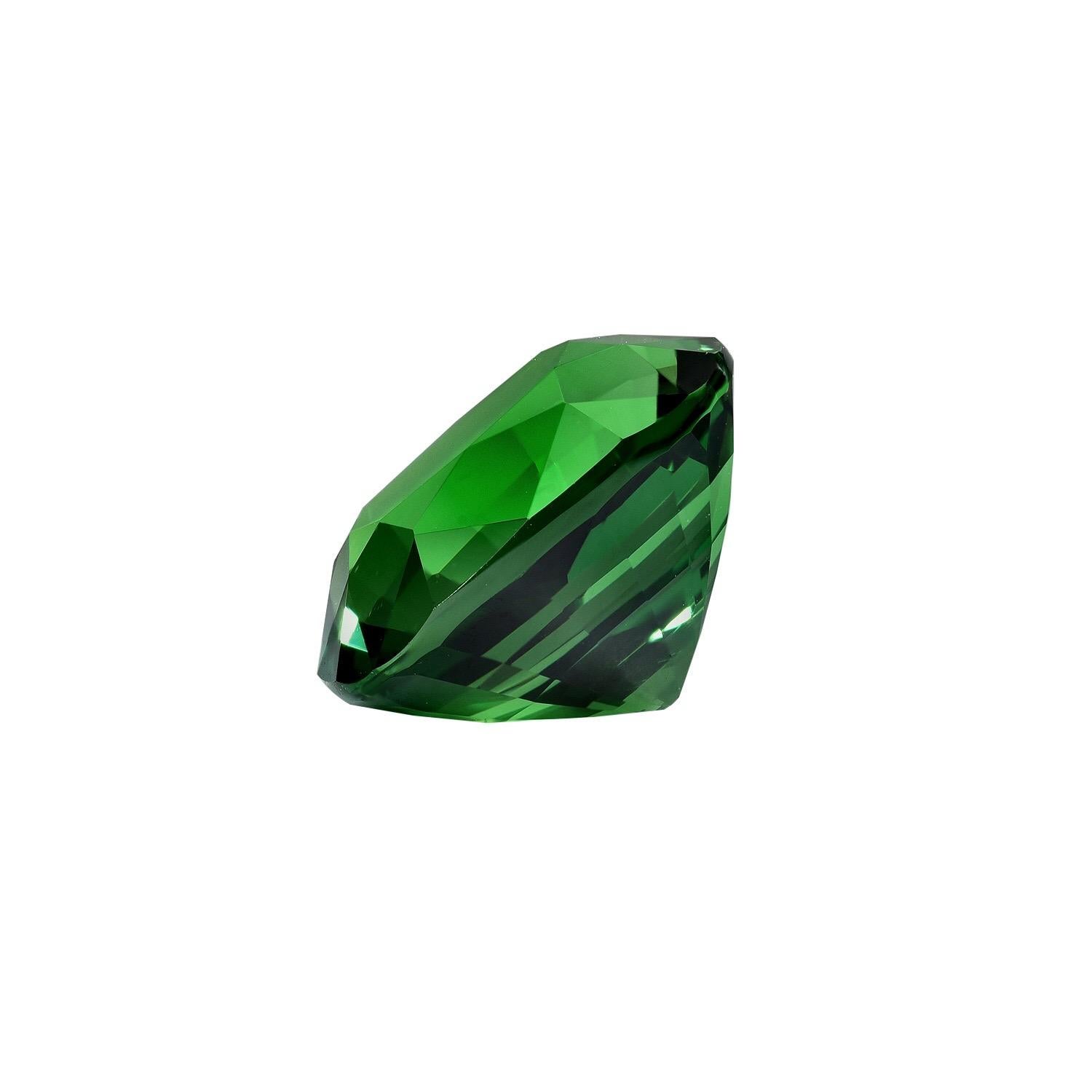 Superior 7.44 carat Tsavorite Garnet cushion cut, offered loose. This collection quality, pristine gem, would make an exquisite custom jewelry piece for a classy lady or gentleman.
Returns are accepted and paid by us within 7 days of delivery.
We