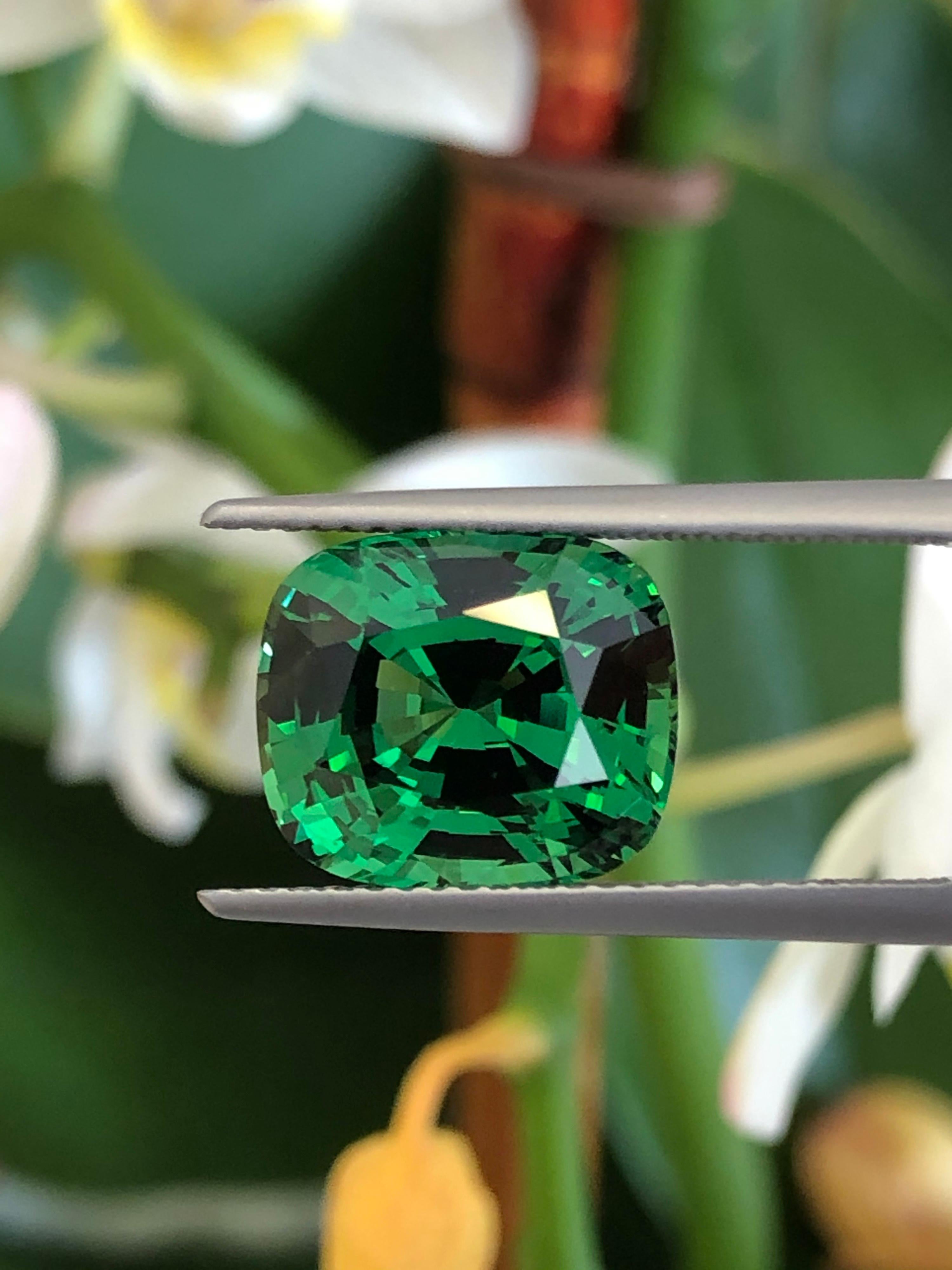 Contemporary Tsavorite Cushion Cut 7.44 Carat Gem