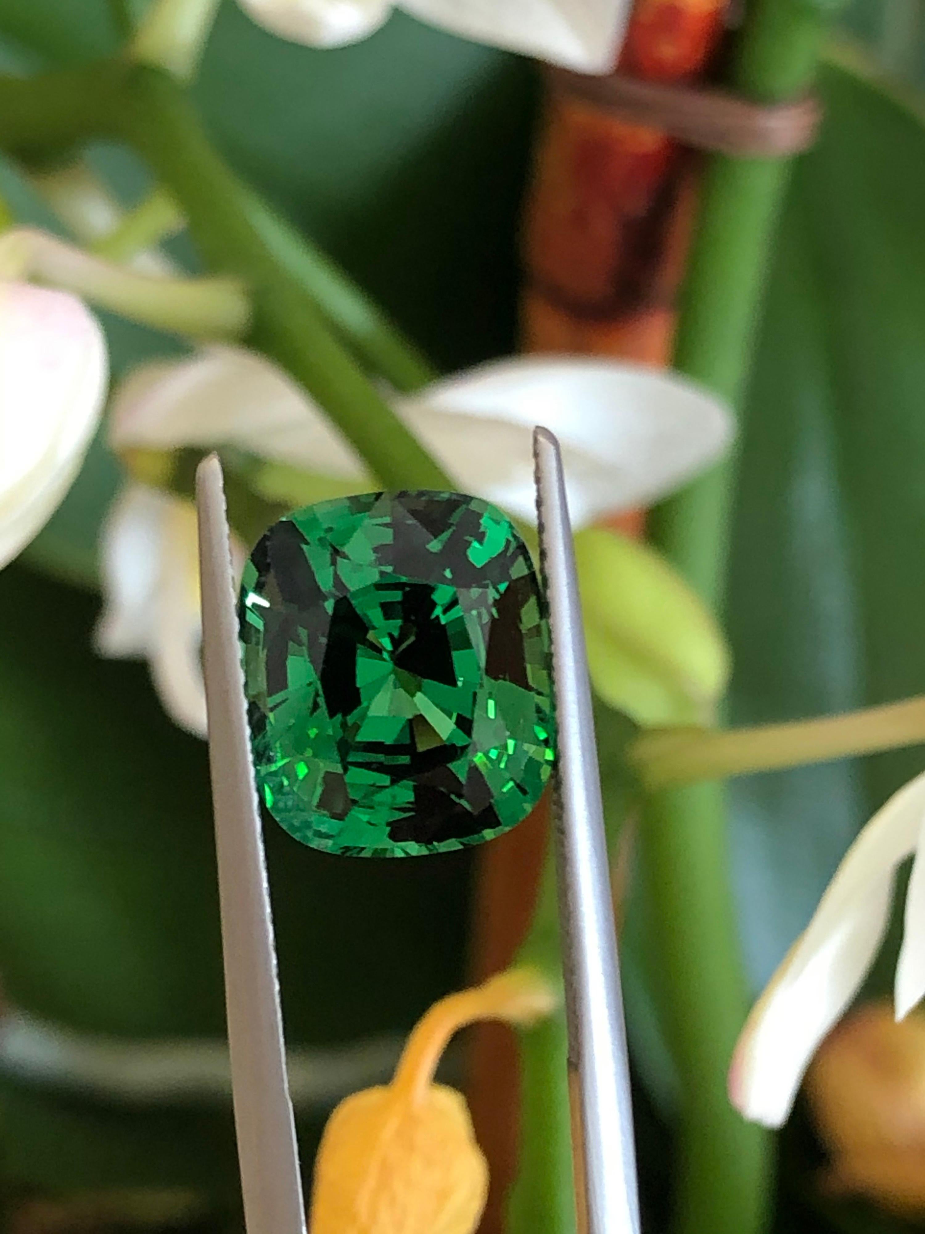 Tsavorite Cushion Cut 7.44 Carat Gem 1