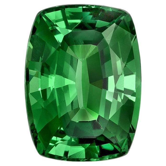 Tsavorit Granat Cushion - Seltener Edelstein für Custom Luxury Jewelry und Collectors (Moderne) im Angebot