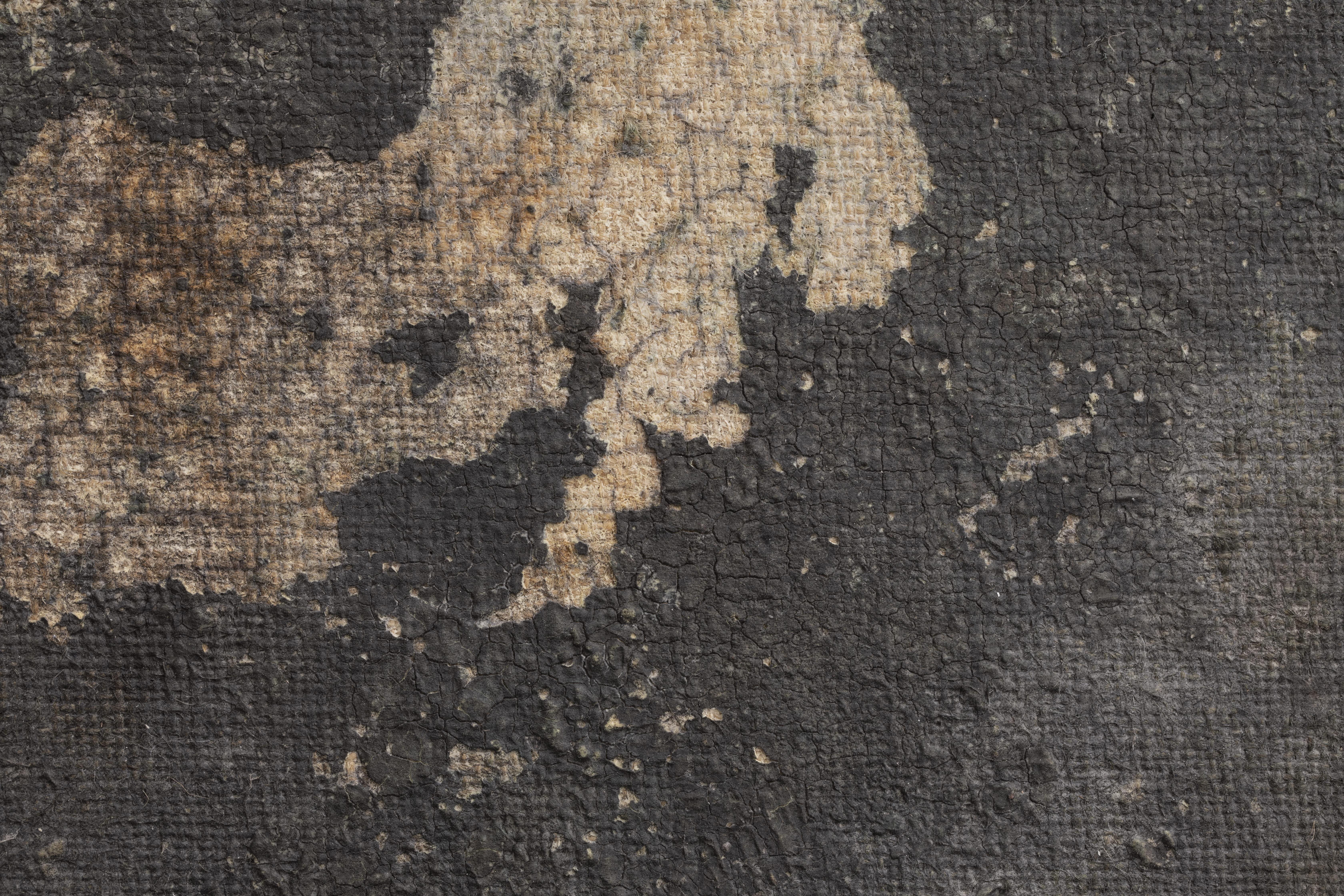 Ttozoi, Genius Loci, nº 9, 2018 - Reggia di Caserta, pintura - Painting de TTOZOI